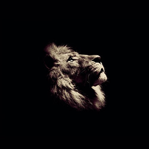 Julien Doré / LoVe - CD (Deluxe)