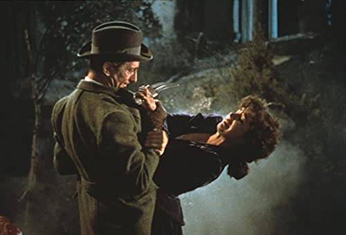 Le chien des Baskerville