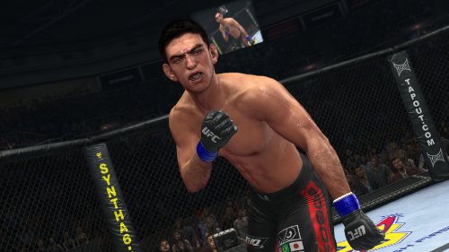 UFC Undisputed 2010