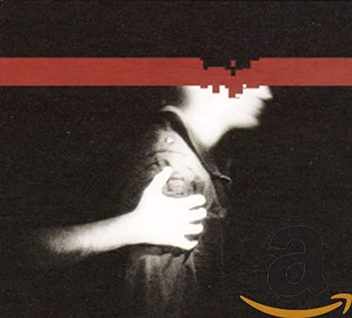 Nine Inch Nails / The Slip - CD (Used)
