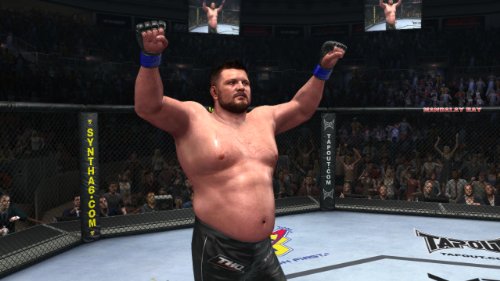 UFC Undisputed 2010
