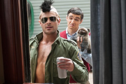Neighbors - DVD (Used)
