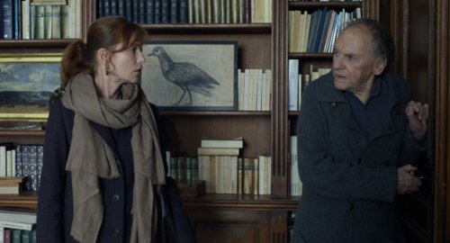 Amour (Bilingual) (Version française)