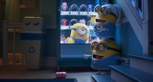 Despicable Me 4: Collector's Edition - DVD