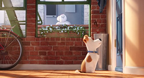 The Secret Life of Pets - 3D Blu-Ray/Blu-Ray