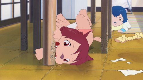 Wolf Children - Bly-Ray/DVD (Used)