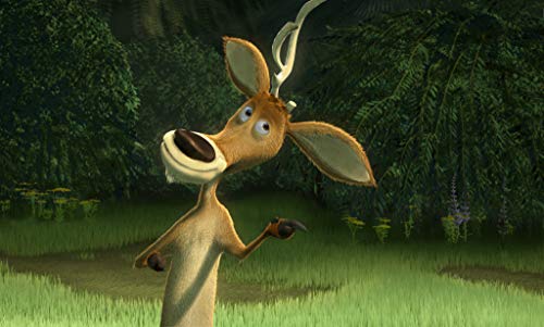 Open Season - DVD (Used)
