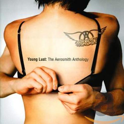 Aerosmith / Young Lust: The Aerosmith Anthology - CD