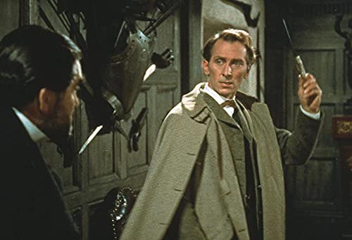 Le chien des Baskerville