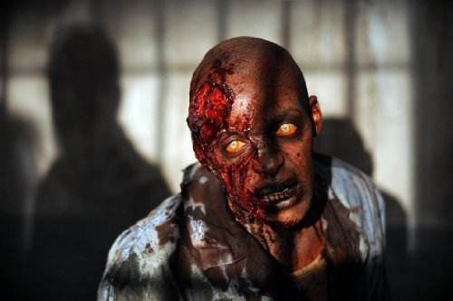 The Walking Dead: Season 3 - DVD (Used)