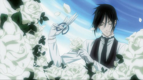 Black Butler: The Complete First Season [Blu-ray]