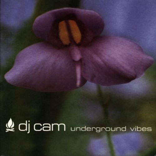 Underground Vibes