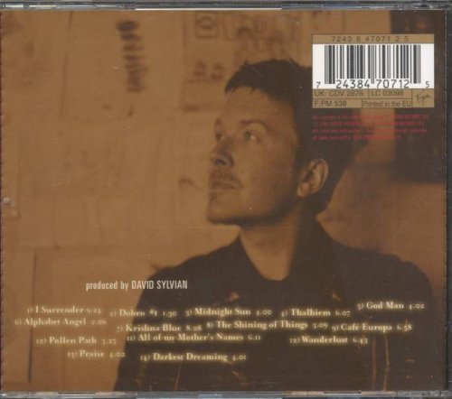 David Sylvian / Dead Bees on a Cake - CD (Used)