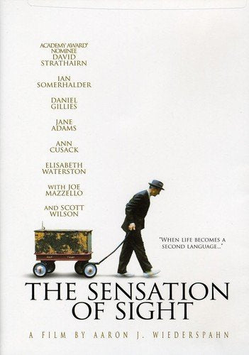 Sensation of Sight, The