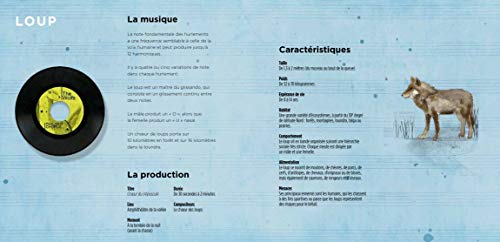 Animaux musiciens