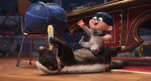 Despicable Me 4: Collector's Edition - DVD
