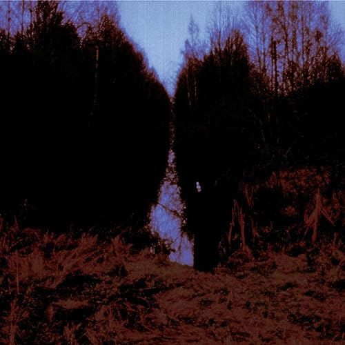Opeth / My Arms Your Hearse - CD