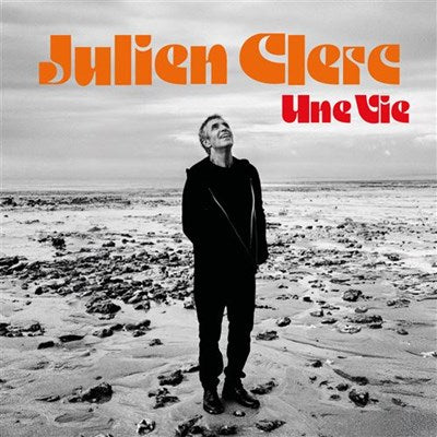 Julien Clerc / Une Vie - LP