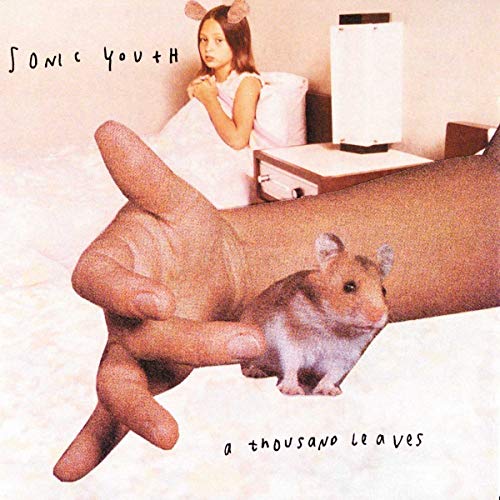 Sonic Youth / Thousand Leaves - CD (Used)