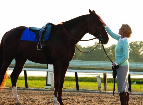 Secretariat
