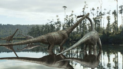 Dino King 3D [Blu-ray 3D + Blu-ray]