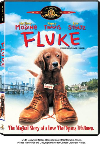 Fluke - DVD (Used)