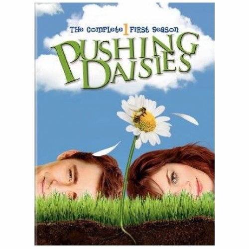 Pushing Daisies /  Season 1 - DVD (Used)