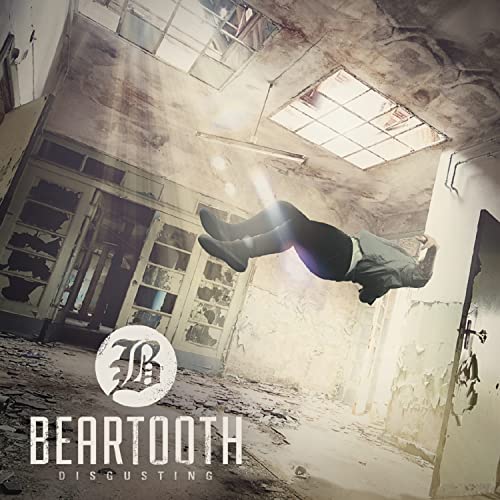 Beartooth / Disgusting - CD (used)
