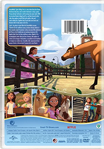 Spirit Riding Free: Seasons 1-4 [DVD]