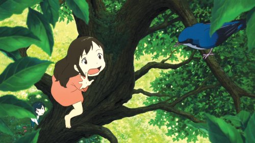 Wolf Children - Bly-Ray/DVD (Used)