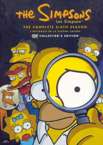 The Simpsons: Season 6 - DVD