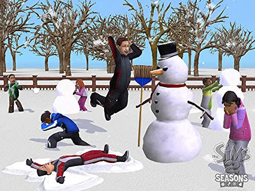 Les Sims 2: Au fil des saisons - Windows