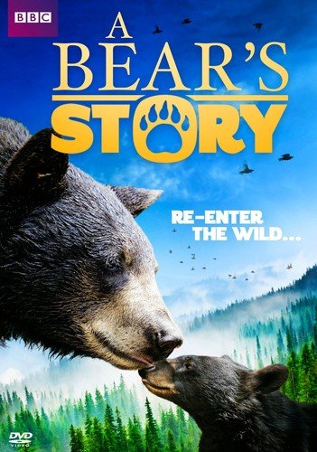 A Bear Story: Spirit's Adventure