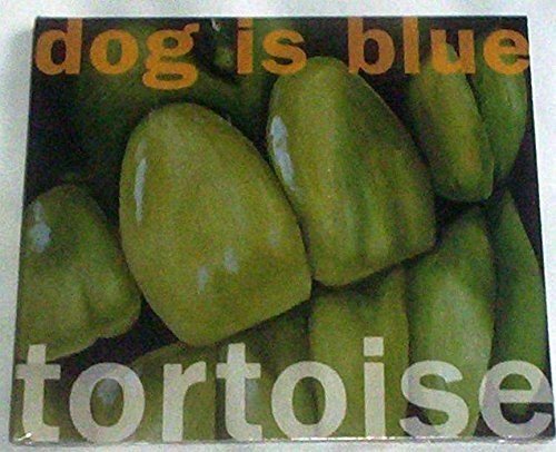Tortoise