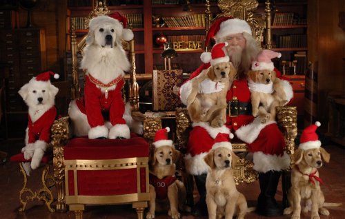 Santa Buddies: The Legend of Santa Paws - DVD