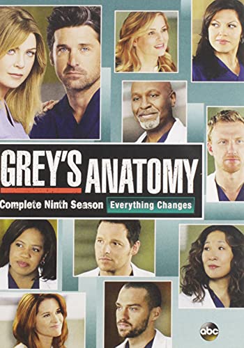 Grey's Anatomy: The Complete Ninth Season - DVD (Used)