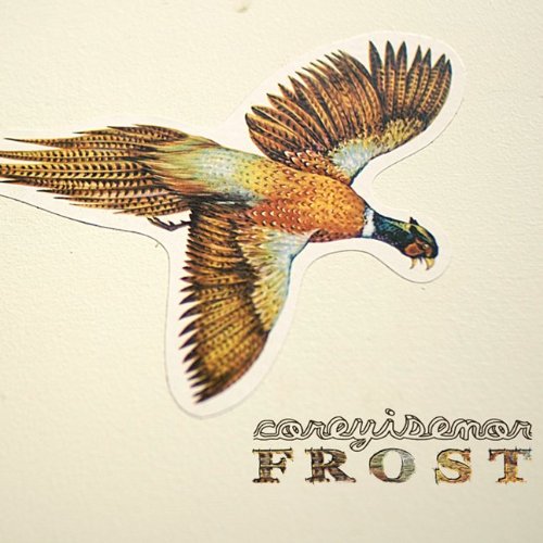 Frost