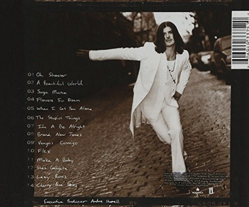 Thicke / A Beautiful World - CD
