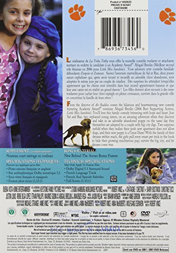 Chestnut - DVD (Used)