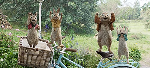 Peter Rabbit (Bilingual) - Blu-ray (Used)