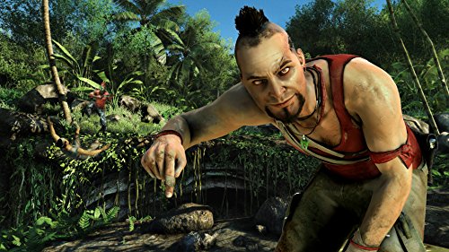 Far Cry 3 - PlayStation 3 Standard Edition (Used)