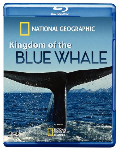 Kingdom/Blue Whale Br [Blu-ray]