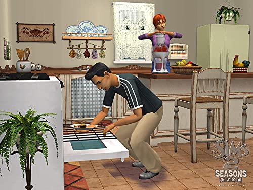 Les Sims 2: Au fil des saisons - Windows