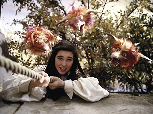 Labyrinth - DVD (Used)