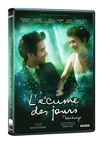 L'Écume Des Jours - DVD