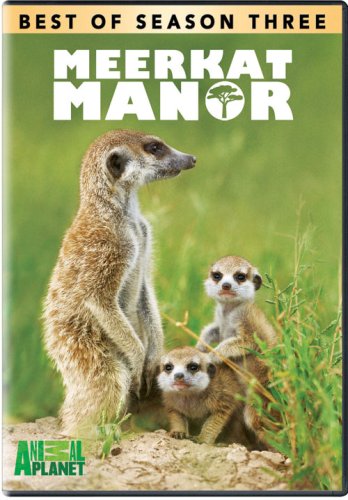 Best of Meerkat Manor / Season 3 - DVD
