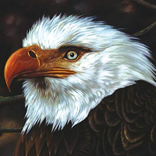 Mogwai / The Hawk Is Howling - CD (Used)