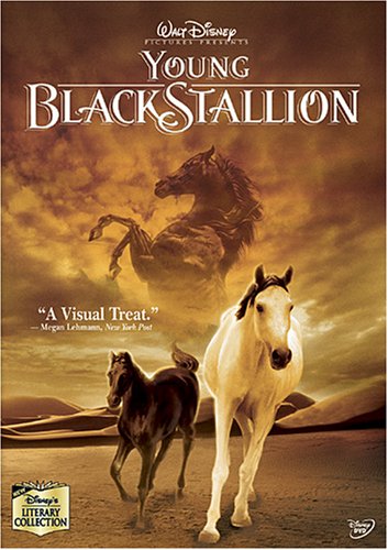 Young Black Stallion (Bilingual)