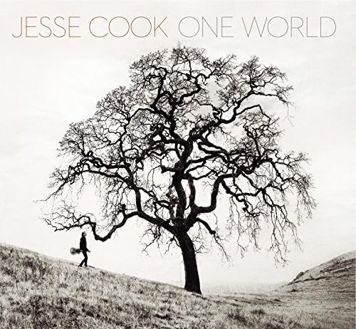 Jesse Cook / One World - CD (Used)