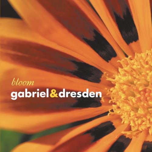 Bloom